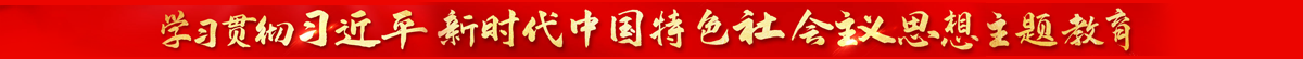 學(xué)習(xí)貫徹習(xí)近平新時(shí)代中國(guó)特色社會(huì)主義思想主題教育